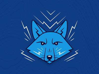 Shop the Fox Collection animal apparel blue design drawing fox illustration lightning poster print shop sketch vector