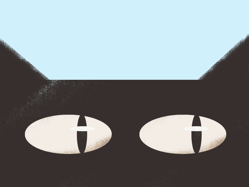 A Cat Christmas animation black cat blue cat christmas illustration motion ornament winter
