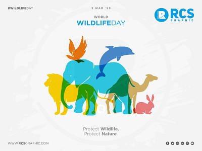 WILDLIFE DAY