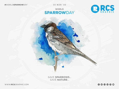 WORLD SPARROW DAY