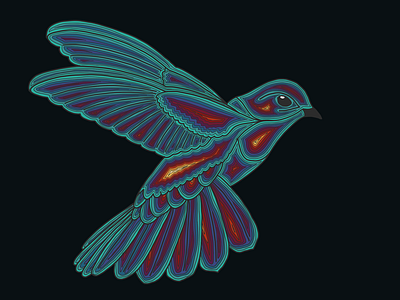 A heat map of a bird illustration ipadproart vectorart