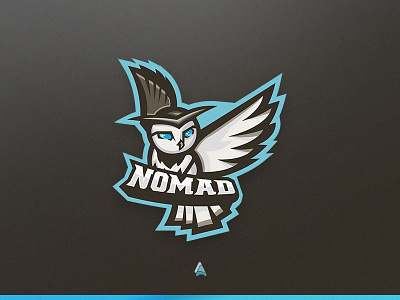 "Nomad" Mascot Logo barnowl barnowlmascotlogo esports logo mascot mascotlogo owl owlmascotlogo