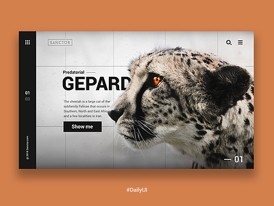 Cheetah Landing animals daily dailyui design experience ui uiux user web wild