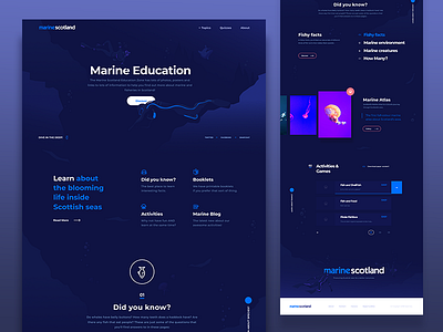 Marine Scotland Homepage design experience graphic illustration ocean typography ui uiux user experience ux vector web