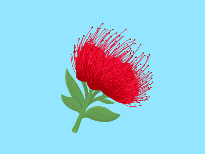 DAY 69: Pohutukawa 100 days of illustration day 69 flower illustration kiwi newzealand nz pohutukawa summer tree