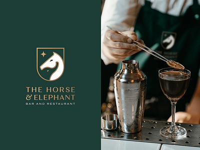 The Horse & Elephant Logo Design