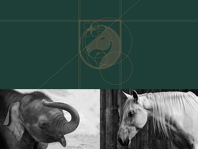 The Horse & Elephant Logo Design