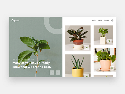 Plant selling website concept clean design clean ui designs minimal minimalism minimalist design minimalistic user interface user interface design