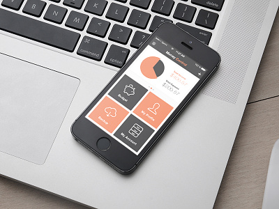 Money Control App for iOS app budget expense experience interface ios iphone money ui user ux