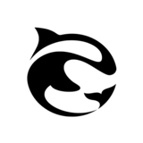 sharkindesignocean