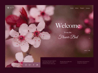 Flower Bed animation design ui web