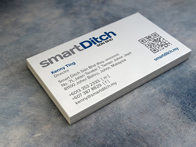 SmartDitch - branding and business card branding business card logo