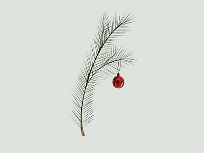 Holiday Pine Illustration christmas christmas illustration holiday pine illustrations pine red ornament watercolor illustration