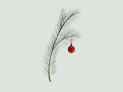 Holiday Pine Illustration