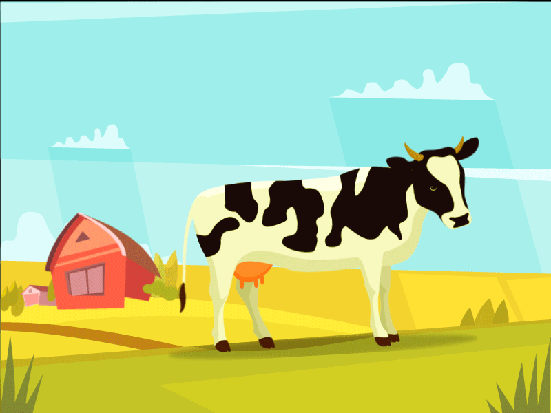 Cow Gif 2d adobe after effects animation breath colors design element illustration motion graphic squash stretch vector