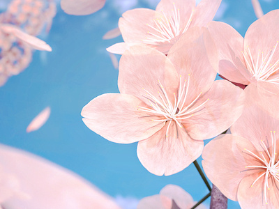 Sakura 3d 3d art blender design flower