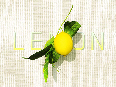 Lemon 3d 3d art citron concept design green interface lemon logo maya photoshop substance substance painter substancepainter ui