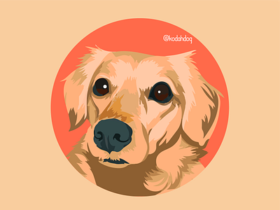 My little dog, Kodah! Hi Dribbble 🐾 design dog dog illustration flat golden golden retriever hi dribbble icon illustration puppy