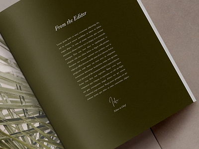Book Cover Templates designs, themes, templates and downloadable graphic  elements on Dribbble