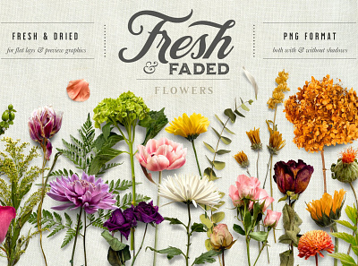 Fresh & Dried Flower Scene Creator & Flat Lay branding design dried elements flat lay flay lays floral flowers fresh fresh design graphics mock up mockup mockup set mockups natural roses scene creator scene creators template