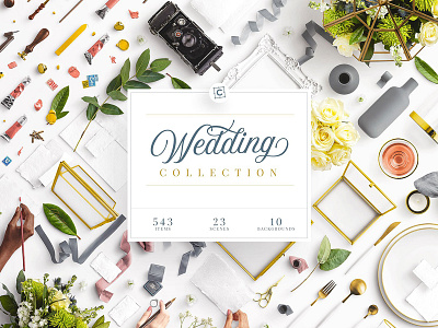 Wedding Theme Designs Themes Templates And Downloadable Graphic Elements On Dribbble