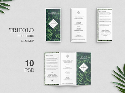 Trifold Brochure Mockups brochure brochure design brochure flyer brochure mockup brochure template brochure trifold mockup clean elegant magazine mock up mockup modern simple template trifold trifold brochure trifold brochure mockups trifold flyer trifold mockup trifold template