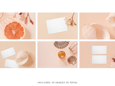 Coral Stock Photo & Mockup Bundle coral coral photo coral photos coral stock photo feminine image images mockup peach photo photos pink stock stock photo stock photo mockup styled styled stock styled stock mockup styled stock photo styled stock photos