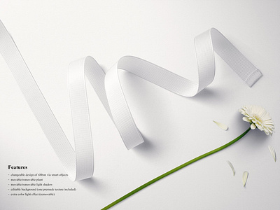 Download Grosgrain Ribbon Mockup By Mockup5 On Dribbble