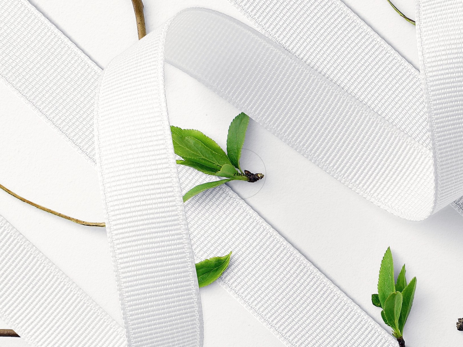 Download Grosgrain Ribbon 2 Mockup By Mockup5 On Dribbble PSD Mockup Templates