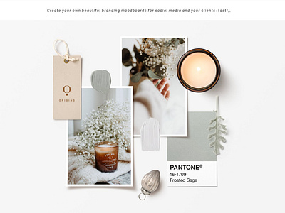 drag møl sorg NEW! The Natural Moodboard Creator by Mockup5 on Dribbble