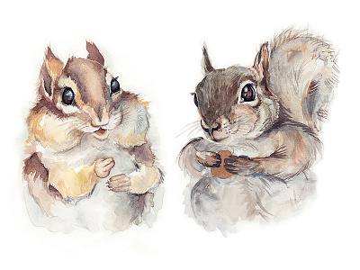 Woodland Creatures Character Design chipmunk fauna illustration squirrel watercolor woodland