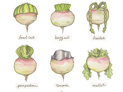 Turnip Hairdos haircut hand lettering illustration turnip watercolor