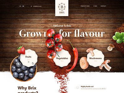Traditional web page for Brix fruits, vegetables, mushrooms