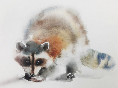 Raccoon raccoonwatercolor