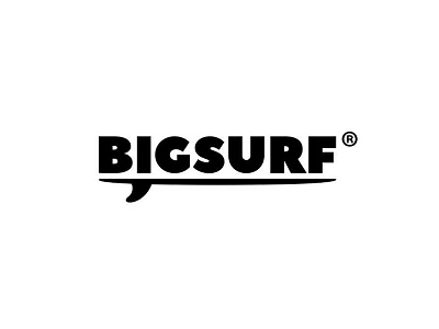 Bigsurf Co. Logo. bigsurf shop logo logotype surf trademark