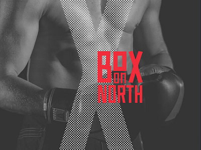 Box on North identity boxing branding gym identity