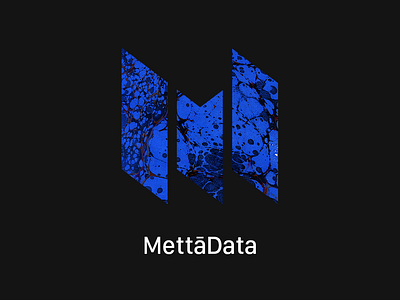 MettāData Identity blue branding branding design logo mark