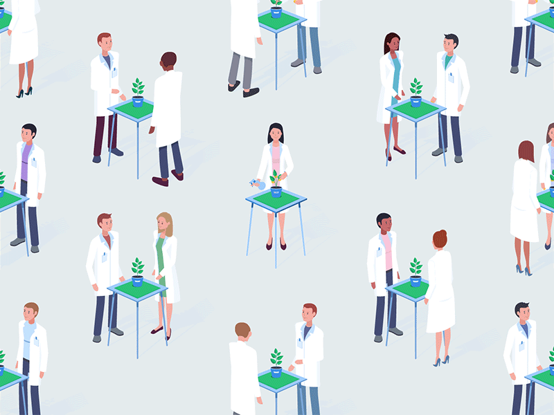 Investors animation animation 2d characters coins gif illustration investing investors isometric isometry laboratory loop motion graphics people plant scientists seeding trees