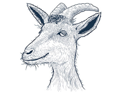 Goat Illustration animal animals chivas futbol goat illustration line drawing line work smug soccer superchivas