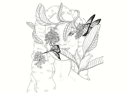 Milkweed & Monarchs animal animal illustration artwork black and white detail hand drawn handmade illustration pen portrait