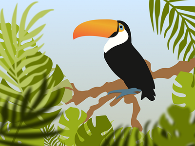 Toucan on a Branch birb bird figma illustration leaf leaves toucan tropical vector