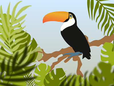 Toucan on a Branch