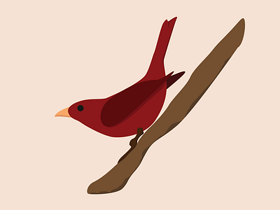 Red Birdie bird illustration red vector