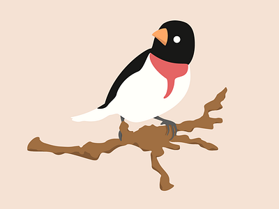 Rose-Breasted Birdie bird illustration rose vector