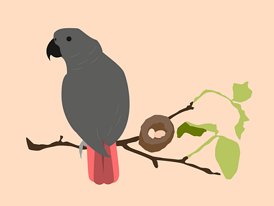Parrot on a Branch african birb bird branch congo egg grey illustration illustrator leaf leaves minimalistic parrot vector