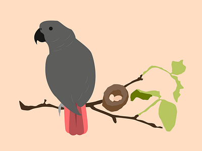 Parrot on a Branch