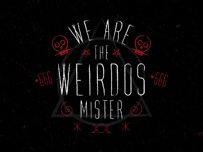 We Are The Weirdos Mister