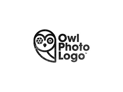 Unused Owl Logo aperture logo owl photography shutter