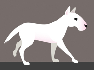 Cleo aftereffects animation dog englishbullterrier motiondesign motiongraphics rubberhose rubberhoseanimation walkcycle