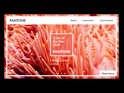 Pantone Homepage Concept agency color color of the year concept coral creative homepage landing page living coral pantone user experience user interface ux uxui web design web design agency web designer